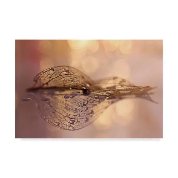 Oranit Turgeman 'A Golden Leaf' Canvas Art, 12x19, Trademark Fine Art, Mfr#: 1X07990-C1219GG